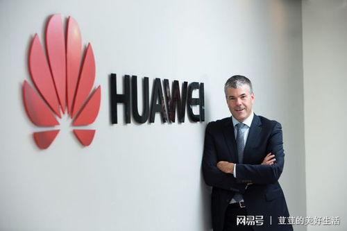 加拿大高管爆料视频,揭秘企业内幕与行业真相